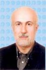 نظریه جاویدان 
